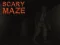 Gra Scary Maze w Internecie