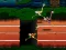 Gra Big Birds Racing w Internecie