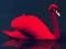 Gra Love Birds Puzzle w Internecie