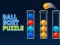Gra Ball Sort Puzzle w Internecie