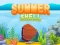 Gra Summer Shell w Internecie