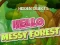 Gra Hidden Objects Hello Messy Forest w Internecie