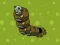 Gra Zombie Worms w Internecie
