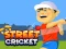 Gra Street Cricket w Internecie