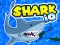 Gra Shark io w Internecie