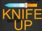 Gra Knife Up w Internecie