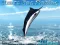 Gra Azure Sea Fishing w Internecie