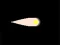 Gra Particle w Internecie