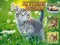 Gra Kittens Jigsaw w Internecie