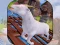 Gra Angry Goat Wild Animal Rampage w Internecie