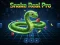 Gra Snake Real Pro w Internecie
