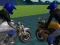 Gra Motorbike Stunts w Internecie