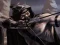 Gra Shadow Archers w Internecie