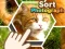 Gra Sort Photograph w Internecie