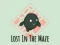 Gra Lost In The Maze w Internecie