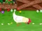 Gra Stupid Chicken w Internecie