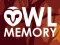 Gra Owl Memory w Internecie