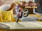 Gra Bike Mania 4 Micro Office w Internecie