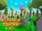 Gra Runner Garden 3d w Internecie