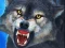 Gra Sniper Wolf Hunter w Internecie