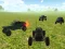 Gra Buggy Simulator Sandbox 3D w Internecie