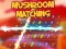 Gra Mushroom matching w Internecie