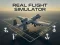 Gra Real Flight Simulator w Internecie