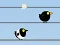 Gra Gone with the Birds w Internecie