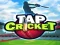 Gra Tap Cricket w Internecie