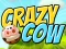 Gra Crazy Cow w Internecie