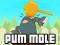 Gra Pum-Mole w Internecie