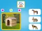 Gra Who Lives Here w Internecie