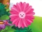 Gra Funny Flowers Jigsaw w Internecie