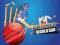 Gra Cricket World Cup Game w Internecie