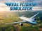 Gra Real Flight Simulator w Internecie