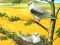 Gra Birds Of Prey Puzzle w Internecie