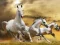 Gra Running Horse Slide w Internecie