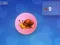Gra Snail Clicker w Internecie