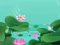 Gra Lotus Flowers w Internecie