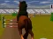 Gra Jumping Horse 3d w Internecie