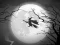 Gra The Night Of the Witches Jigsaw w Internecie
