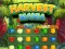 Gra Harvest Mania w Internecie
