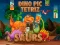 Gra Dino Pic Tetriz w Internecie