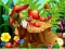 Gra Hidden Objects Insects w Internecie