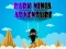 Gra Dark Ninja Adventure w Internecie