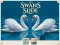 Gra Swans Slide w Internecie