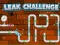 Gra Leak Challenge w Internecie