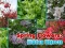 Gra Spring Flowers: Hidden Objects w Internecie