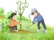 Gra Arbor Day Puzzle w Internecie