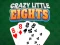 Gra Crazy Little Eights w Internecie